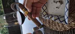 Cohiba Siglo VI 