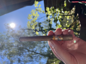 Cohiba Coronas Especiales