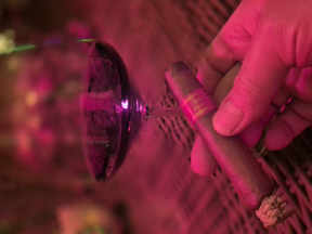 Partagas Serie D No. 4 